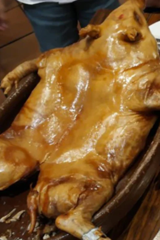 "Cochinillo" Segovia Suckling PIG - Whole Suckling Pig - Various Sizes